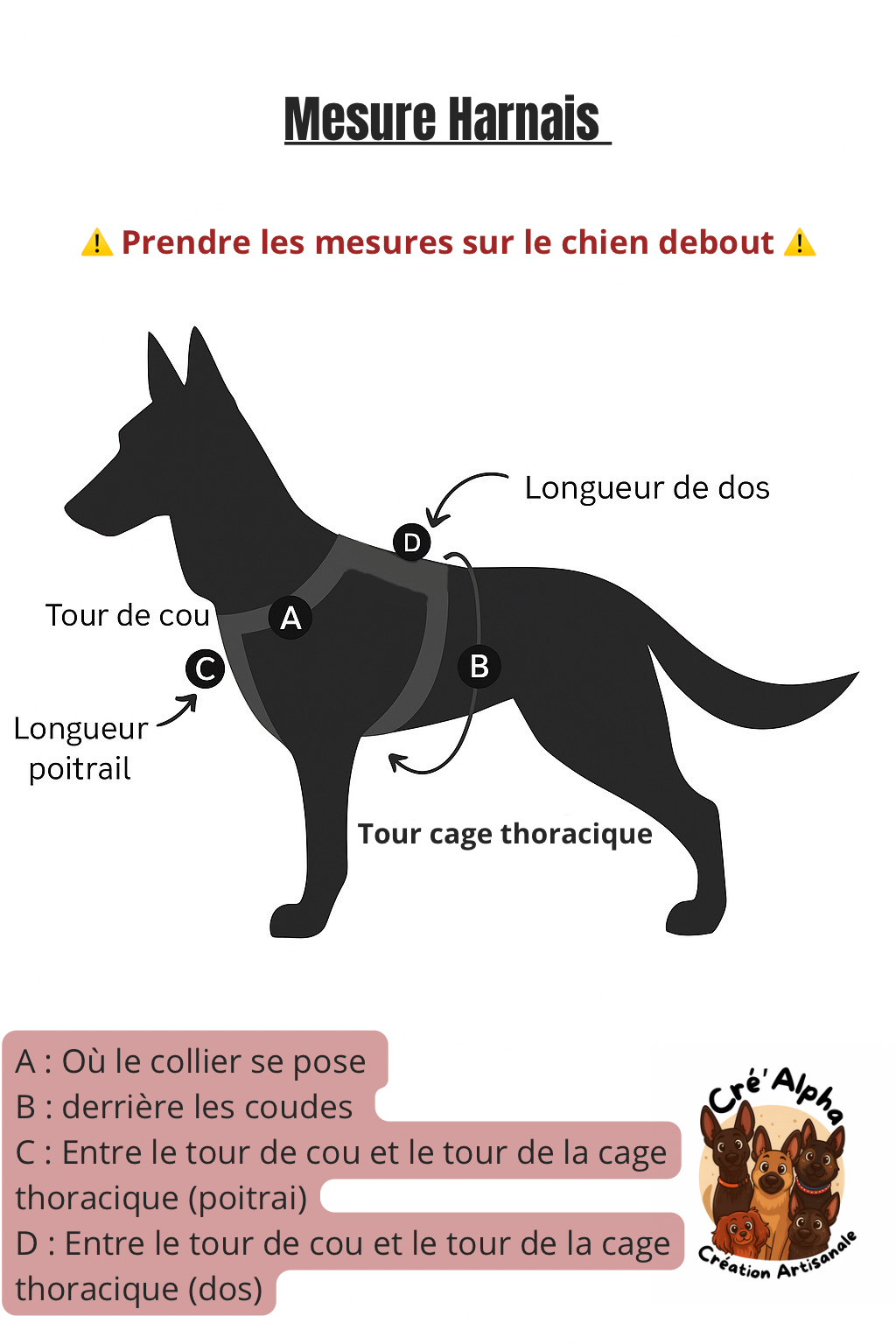 Harnais Toutou Fleuri 🌸