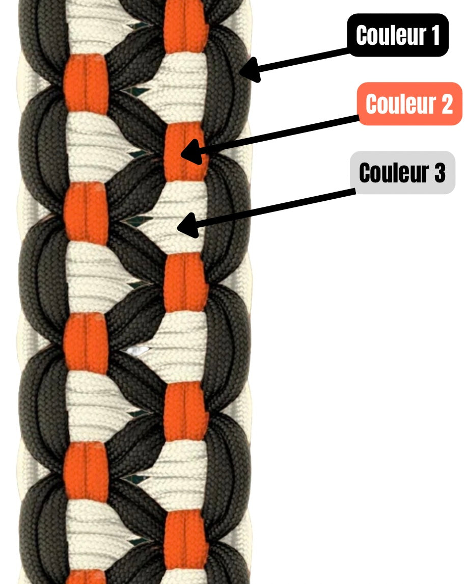 Collier Récif 🪸