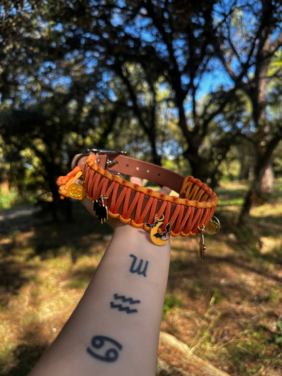 Collier Snake Halloween 🎃