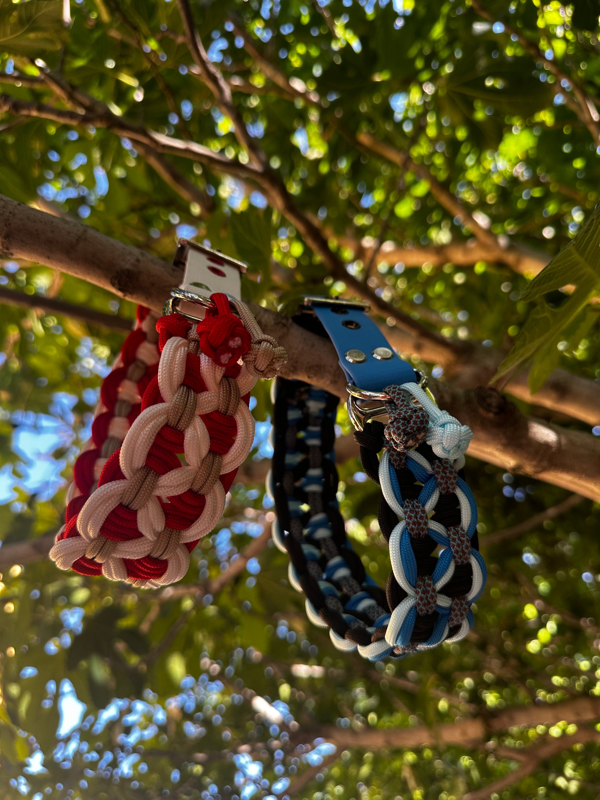 Collier Récif 🪸