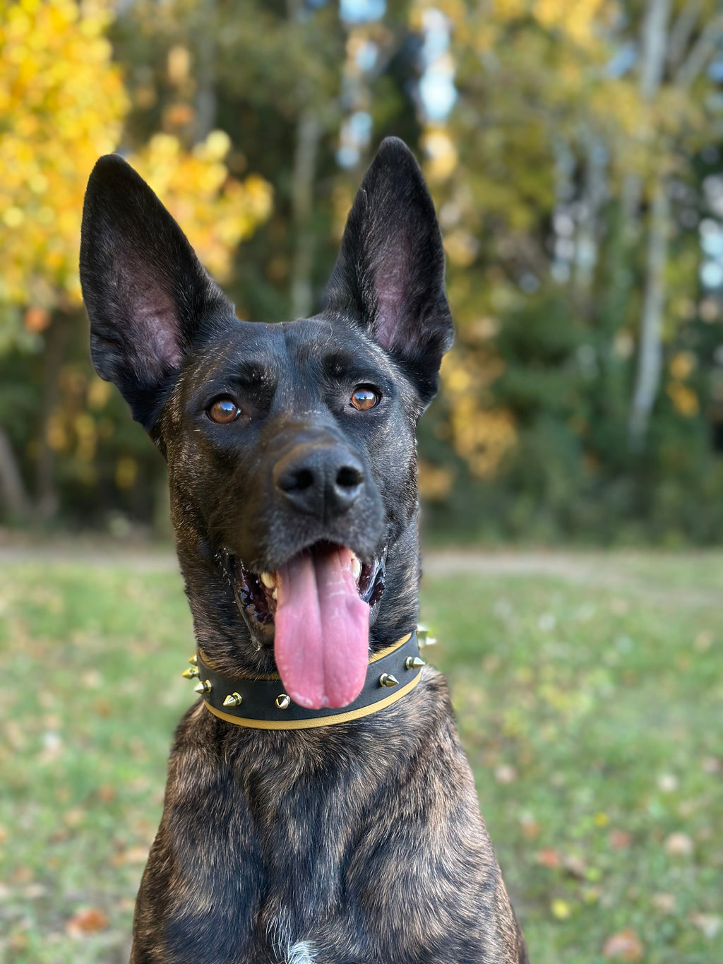 Collier Atlas ⚡️