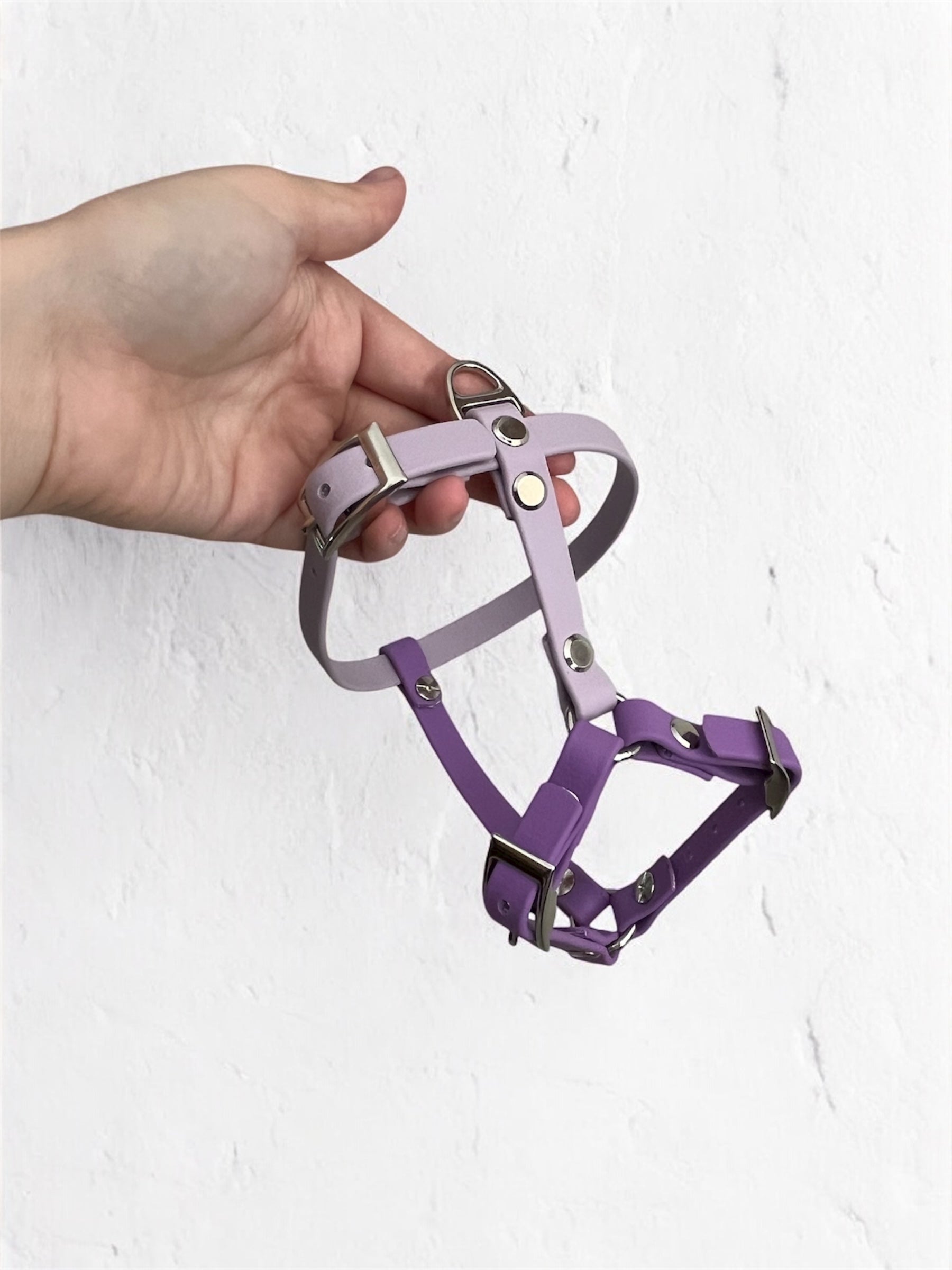 Harnais Mush’ 🐉