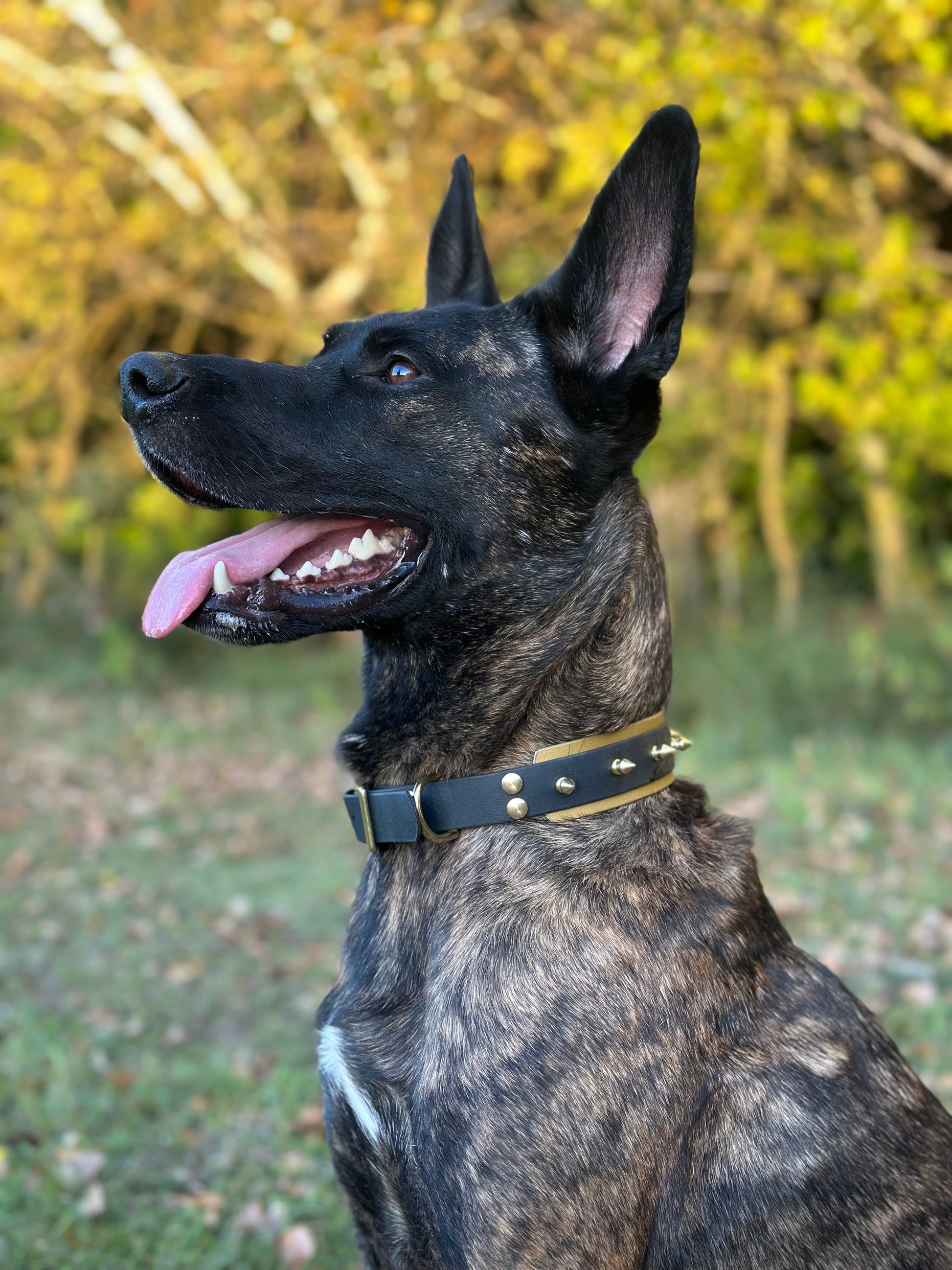 Collier Atlas ⚡️