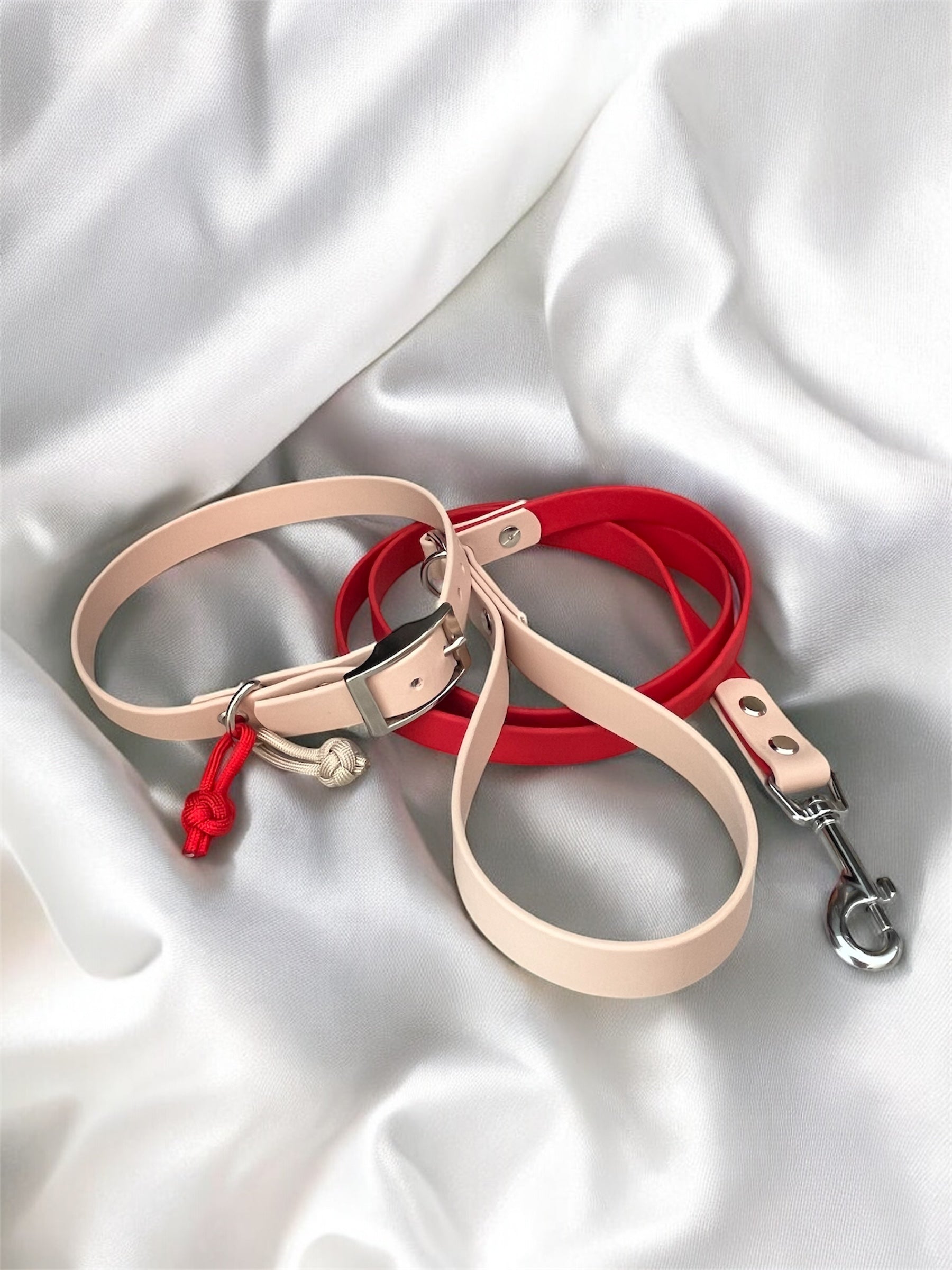 Ensemble Collier et Laisse Simple