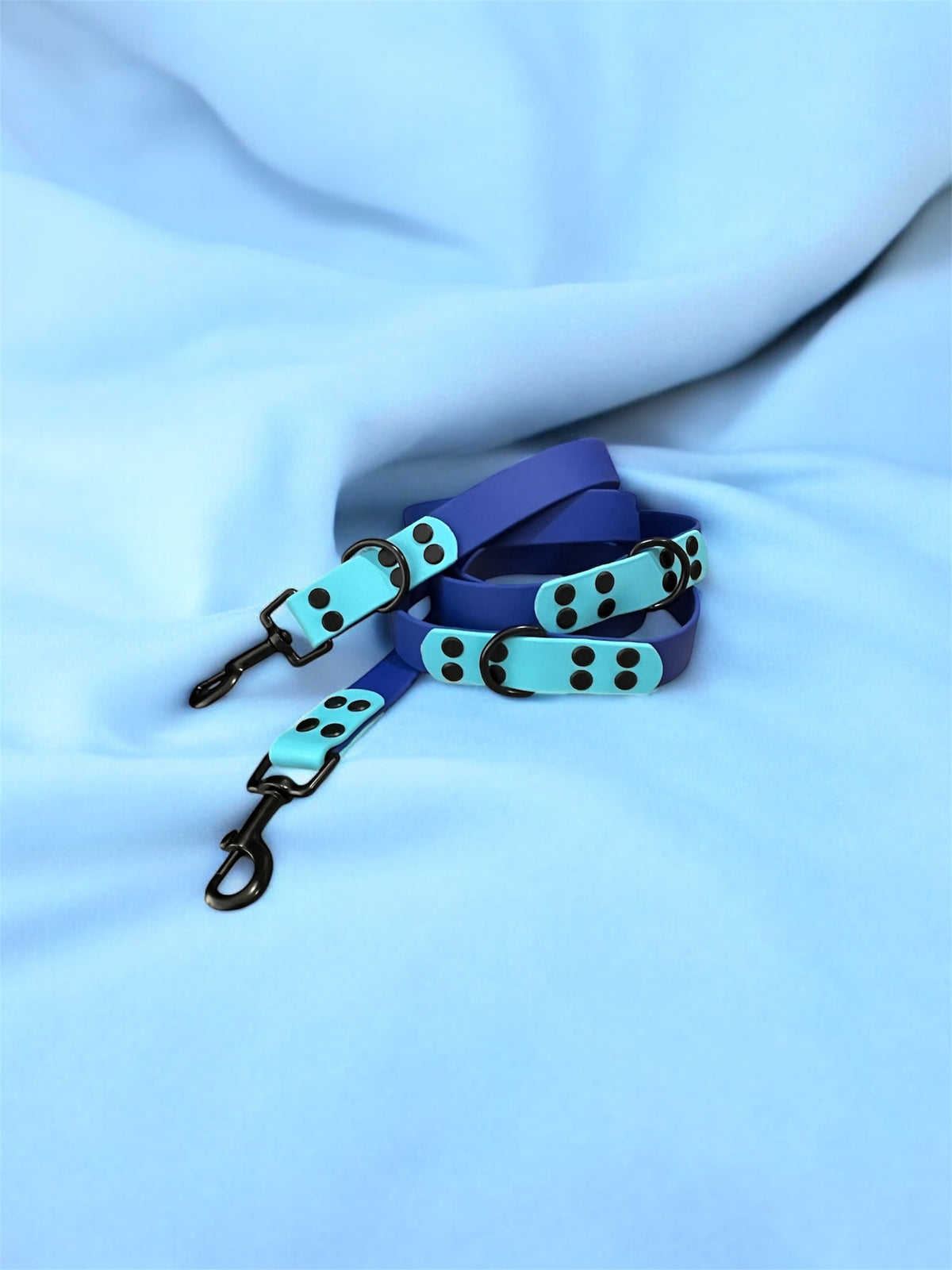 Laisse Multi positions Biothane 🌀